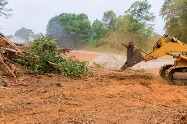 Cost of Ground Clearing in Costa Mesa