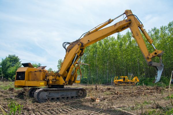 Cost of Farm Clearing in Costa Mesa