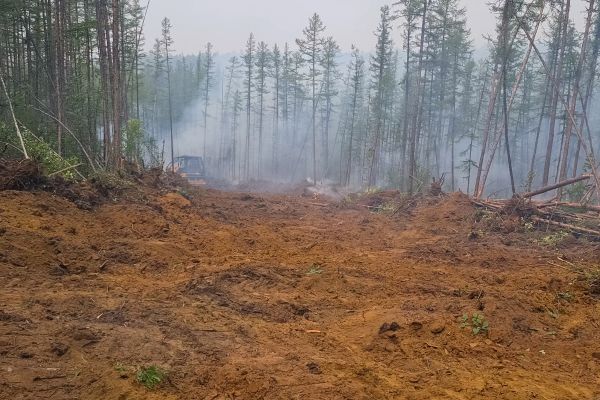 Cost of Hill Clearing in Costa Mesa
