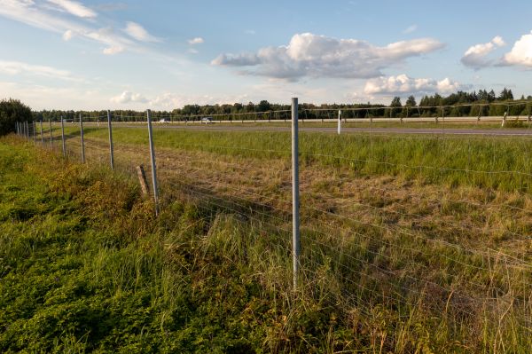 Cost of Property Line Clearing in Costa Mesa