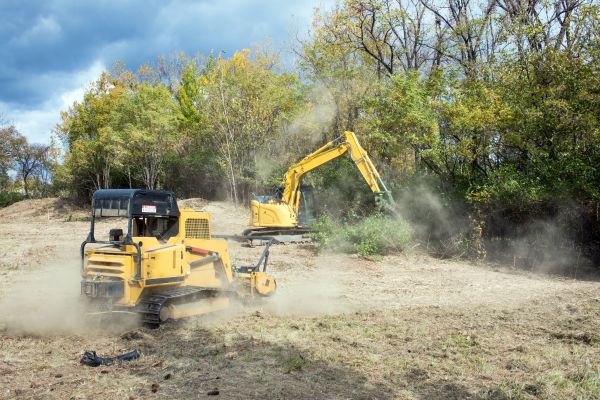 Cost of Terrain Clearing in Costa Mesa